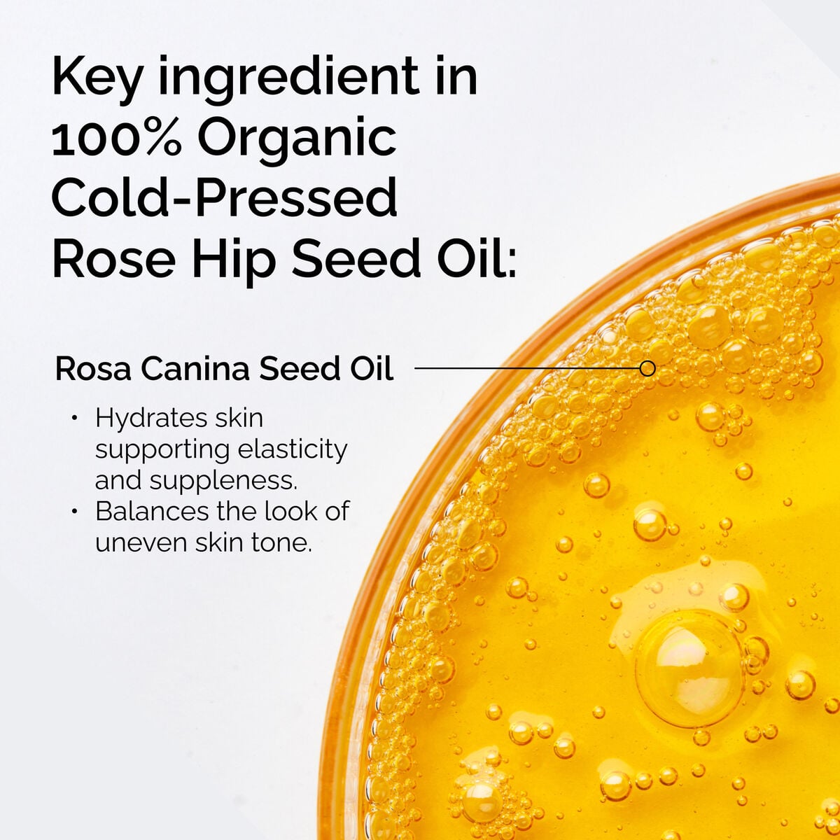 100-organic-cold-pressed-rose-hip-seed-oil-j2 FY25-D41247-ORD-Web-PDP-100-Rose-Hip-Oil-1x1-EN-2.jpg